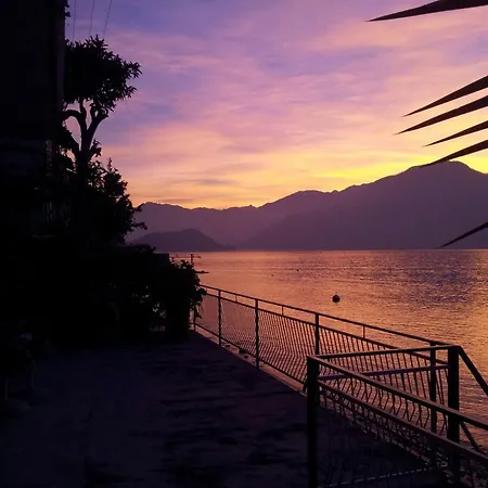 Civetta Isola Comacina